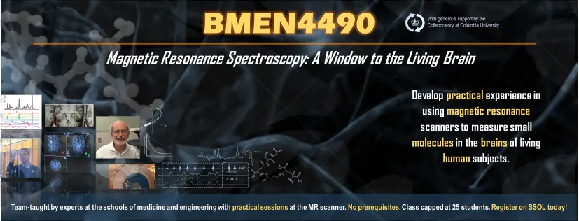 BMEN4490