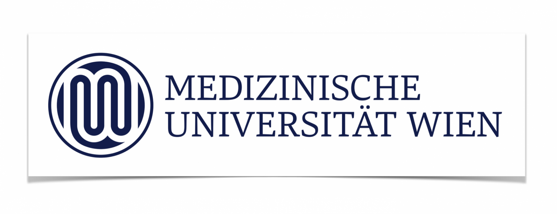 University Logo