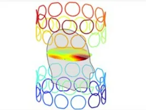Two rings of colored coils around the shape of a head